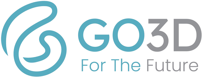GO3D — For The Future